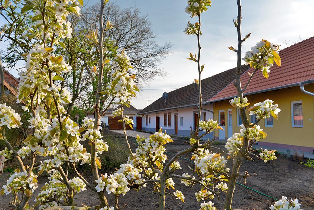 Rigofuetty Vendeghaz Hotel Tiszaalpar Buitenkant foto