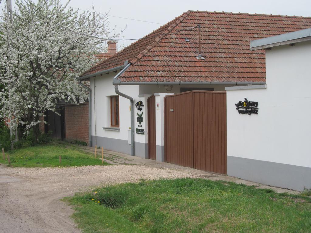Rigofuetty Vendeghaz Hotel Tiszaalpar Buitenkant foto