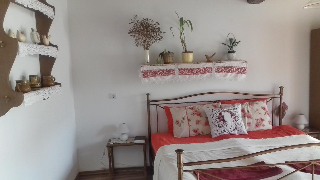 Rigofuetty Vendeghaz Hotel Tiszaalpar Buitenkant foto