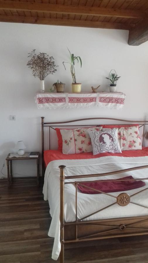 Rigofuetty Vendeghaz Hotel Tiszaalpar Buitenkant foto
