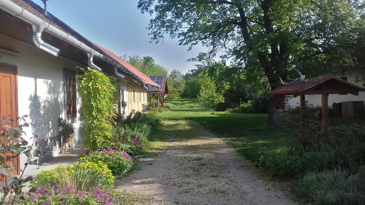 Rigofuetty Vendeghaz Hotel Tiszaalpar Buitenkant foto